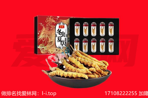 濠江区回收虫草.jpg